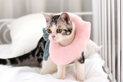 Adjustable Pet Neck Cone™