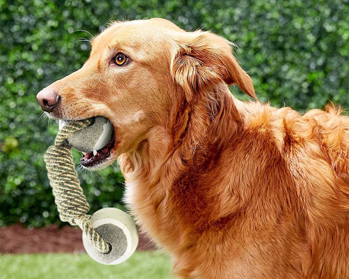 Pet Dog Toys™ - Interactive Cotton Rope and Ball Toy for Dogs