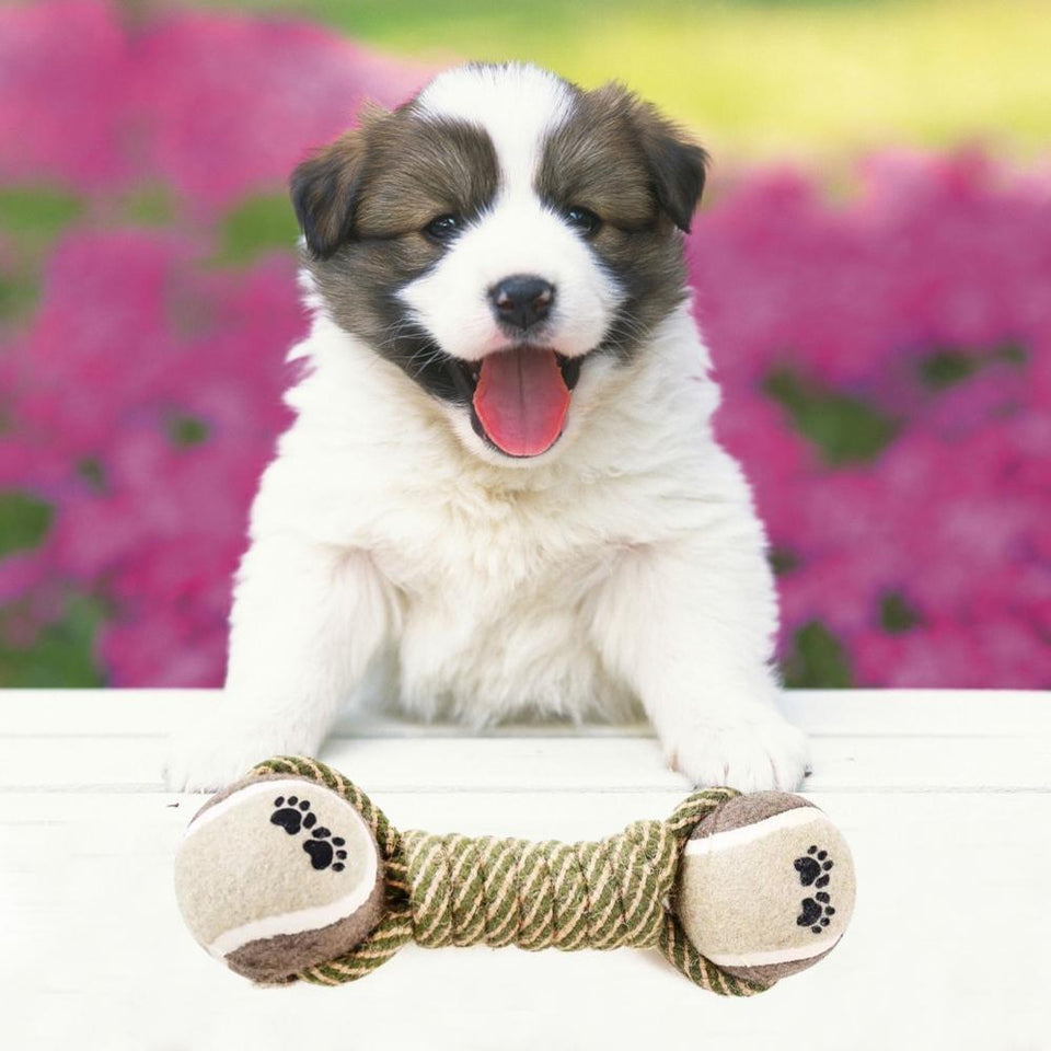 Pet Dog Toys™ - Interactive Cotton Rope and Ball Toy for Dogs