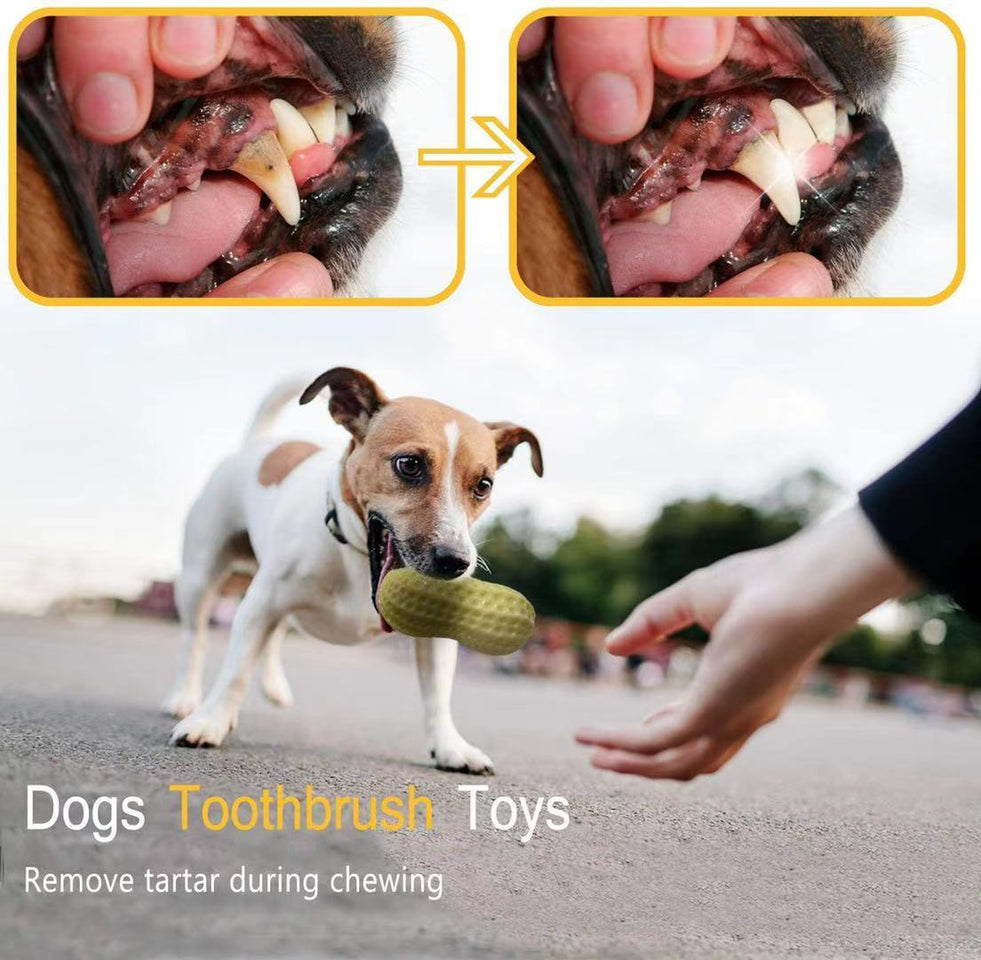 Peanut Squeaky Chew Toy for Dogs™