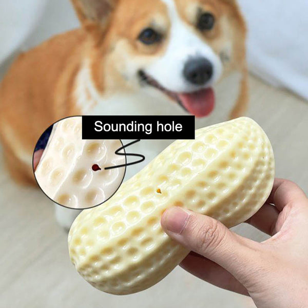 Peanut Squeaky Chew Toy for Dogs™