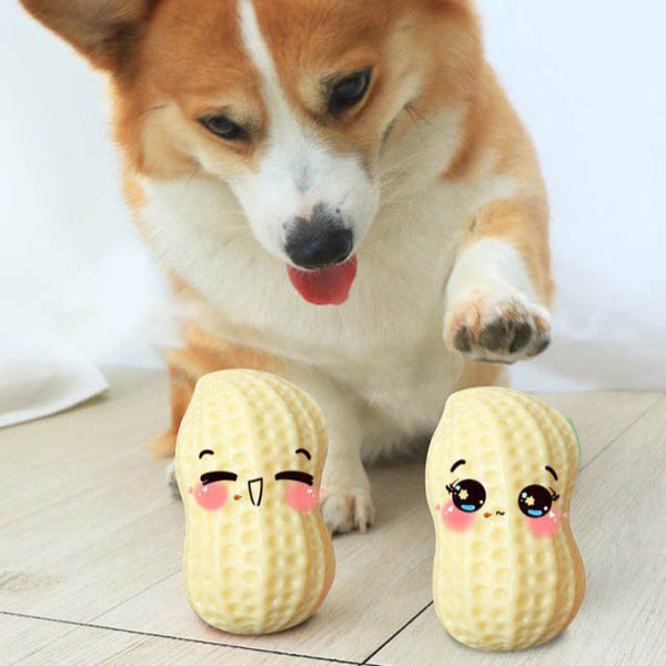 Peanut Squeaky Chew Toy for Dogs™