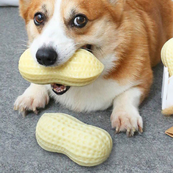 Peanut Squeaky Chew Toy for Dogs™