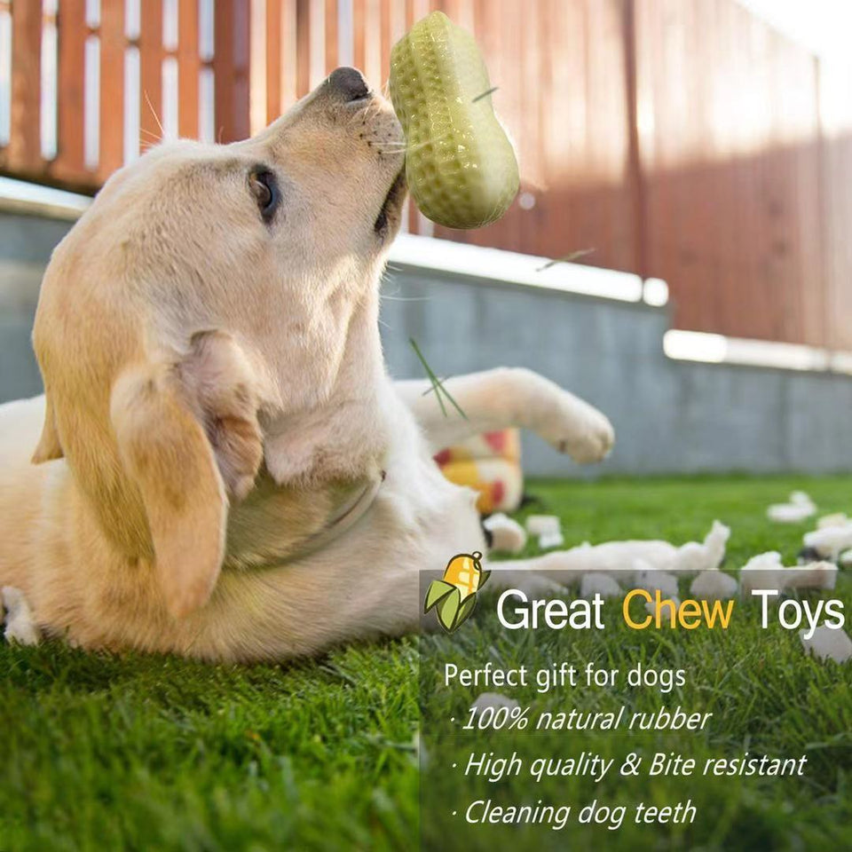 Peanut Squeaky Chew Toy for Dogs™