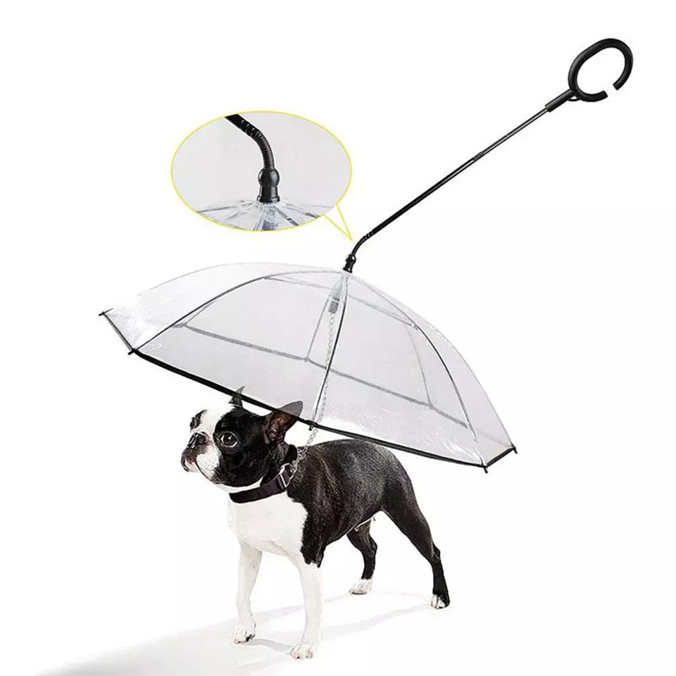 ClearView ComfortCane™: Adjustable Transparent Umbrella for Pets