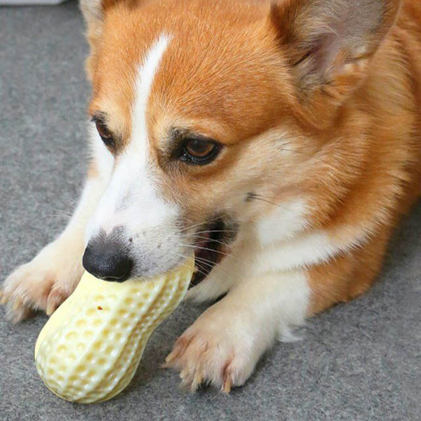 Peanut Squeaky Chew Toy for Dogs™