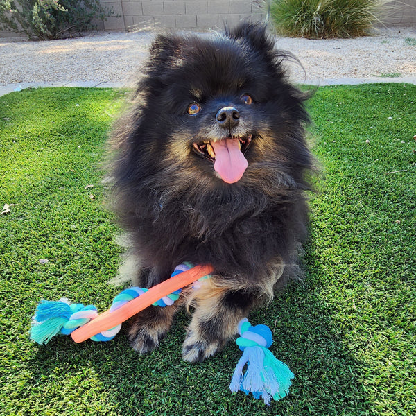 Rubber Bone Dog Chew Toy with Tug Rope -- Great for Active Dogs