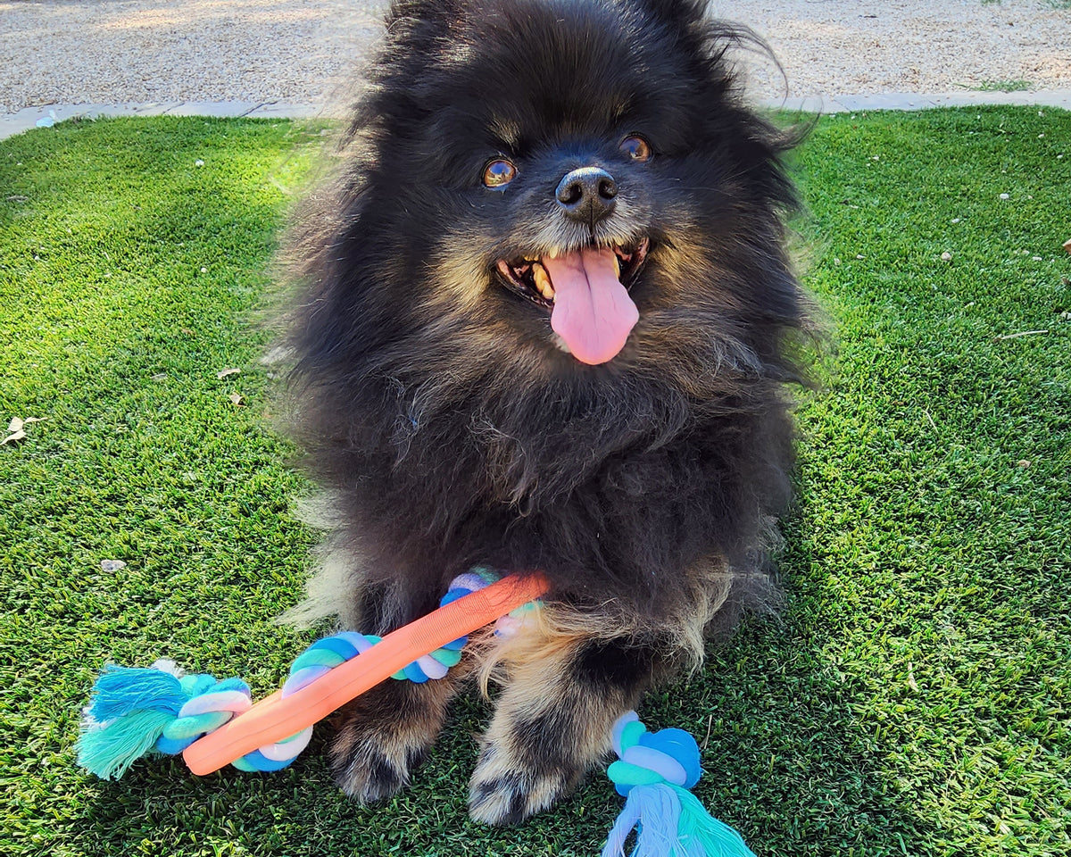 Rubber Bone Dog Chew Toy with Tug Rope -- Great for Active Dogs